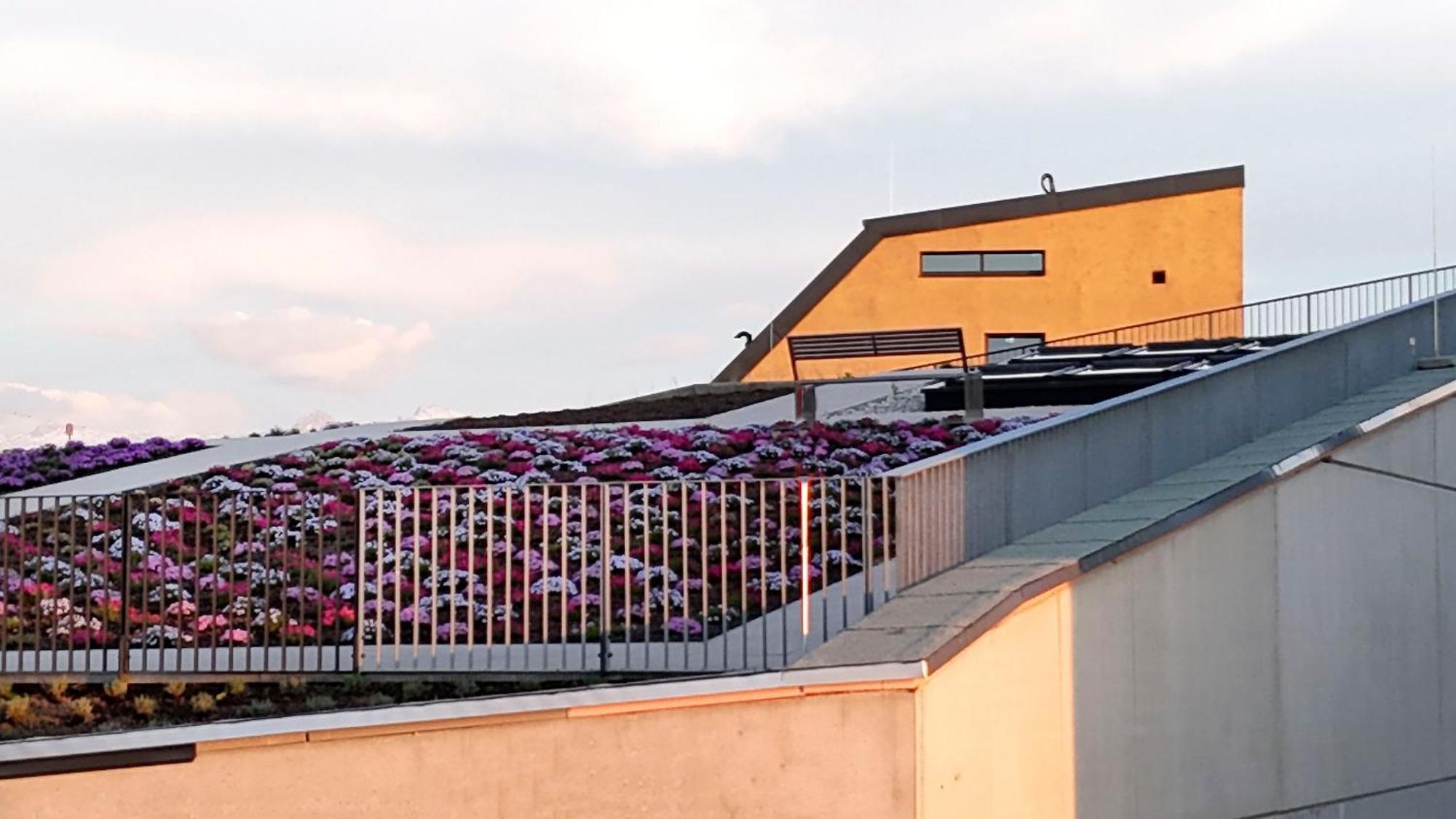 Hotel Im Zentrum Fuer Visionen Puch bei Hallein Kültér fotó